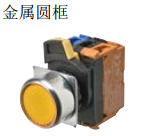 A22NL-RN⬜-⬜⬜A-G⬜⬜⬜ -⬜⬜	带灯